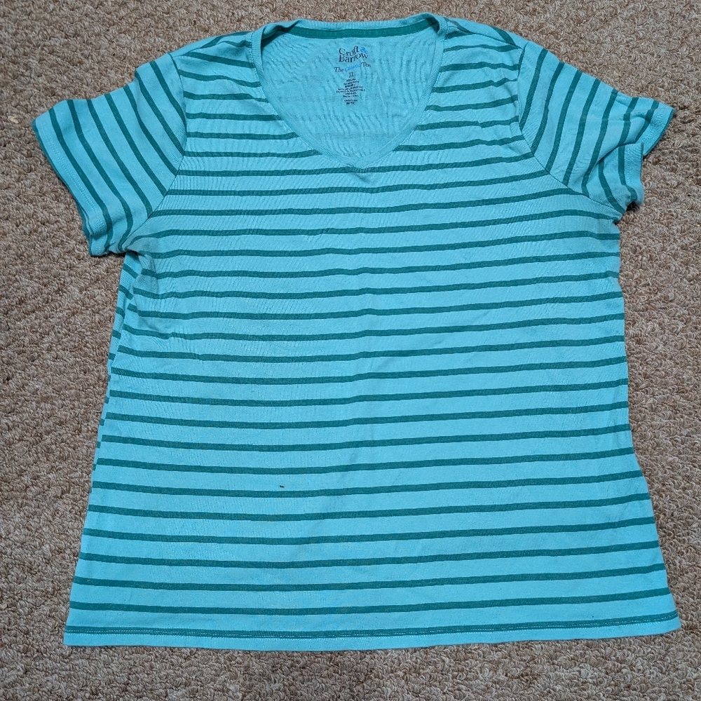 Croft & Barrow Teal and Dark Green V-Neck Tee